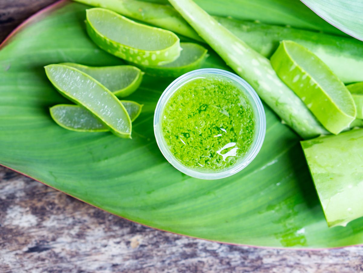 Aloe Vera Juice Offers A Large Group Of Medical Advantages