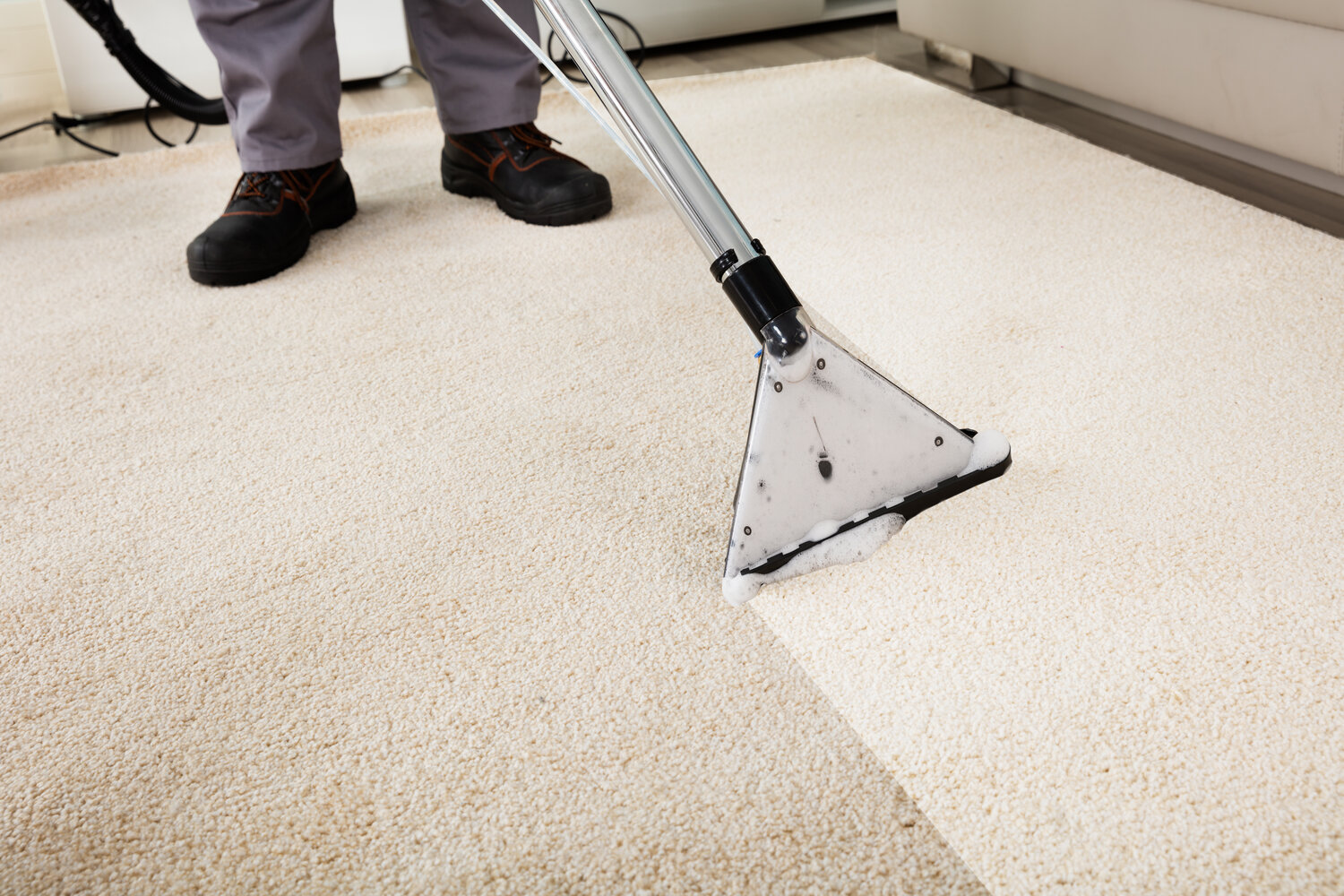 Guide to Professional Carpet Cleaning in Cranebrook