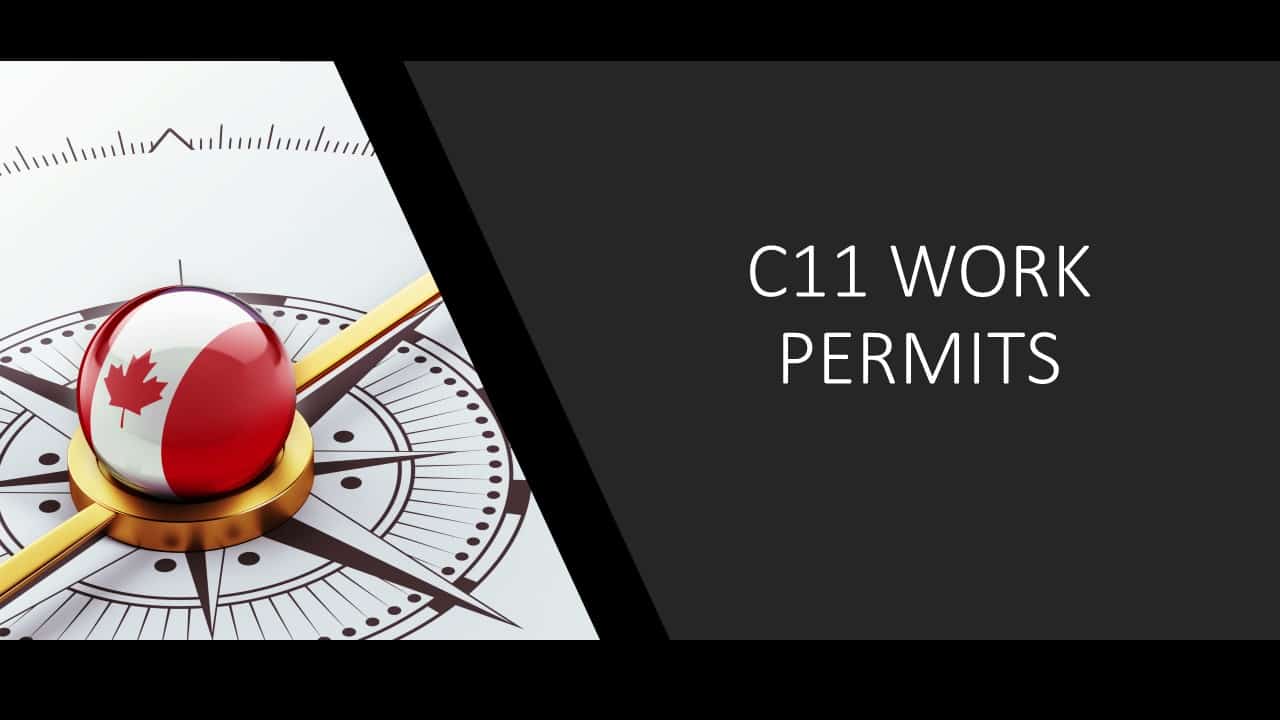 The C11 Work Permit: What is it?