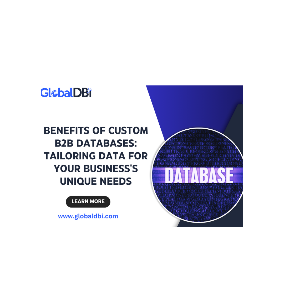 Benefits of Custom B2B Databases