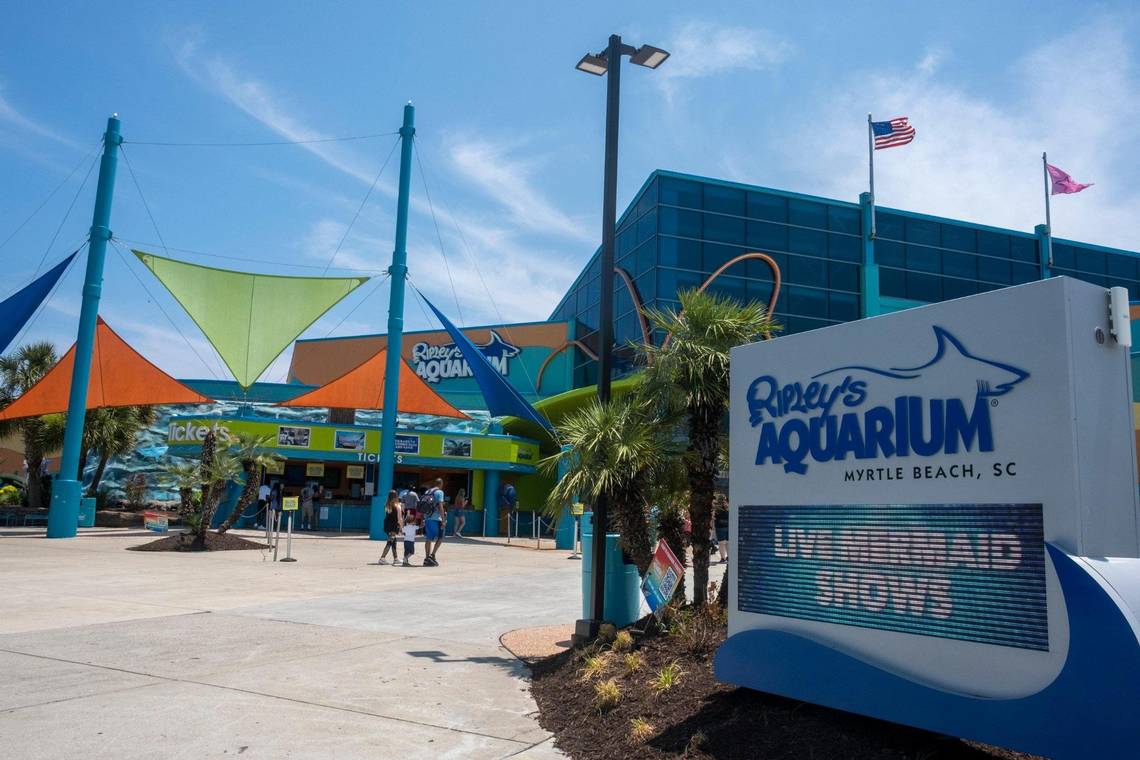 Ripley's Aquarium Myrtle Beach: An Oceanic Wonderland