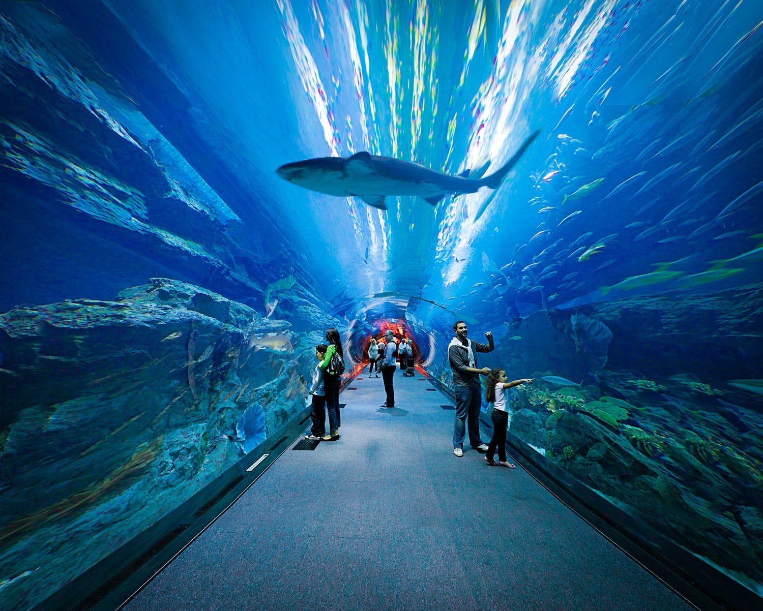 Dubai Mall Aquarium Tickets: Insider Insights and Expert Advice