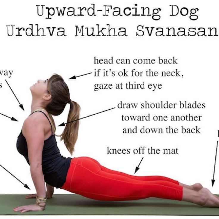 Urdhva Mukha Svanasana: Know How To Do It And Benefits
