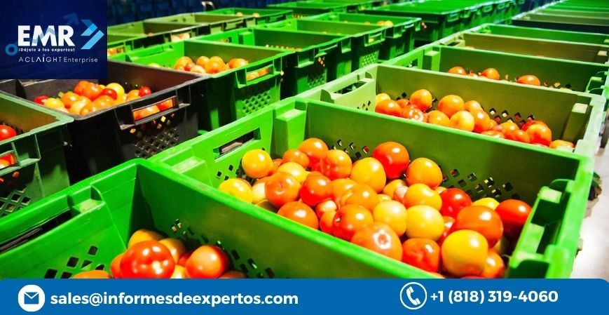 Latin America Tomato Processing Market