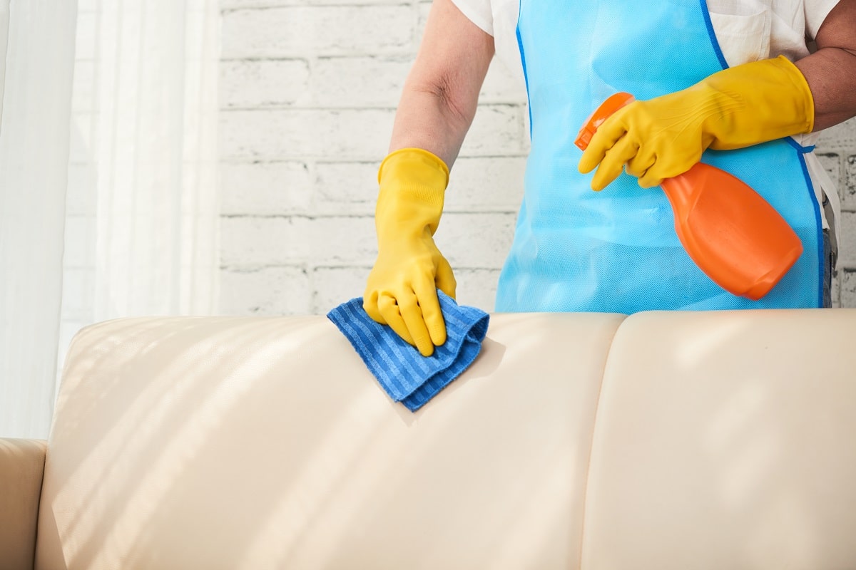 Preserving Your Investment: Cheltenham Couch Cleaning Tips