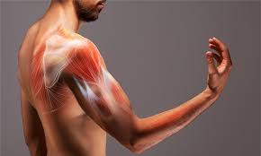 muscles pain