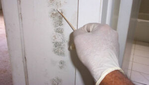 How To Test Air For Mold