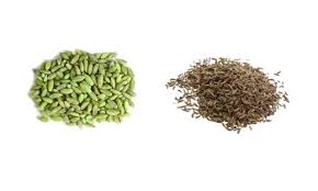 Whole Cumin Seeds vs Dried Fennel Seeds