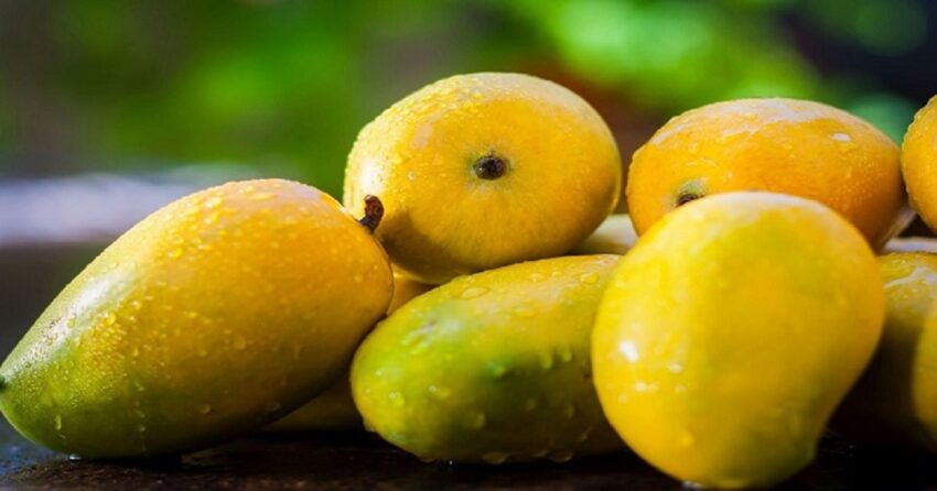 Fresh Mangoes Price in Pakistan